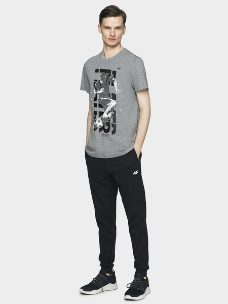 Koszulka męska 4F H4L21-TSM011-25M