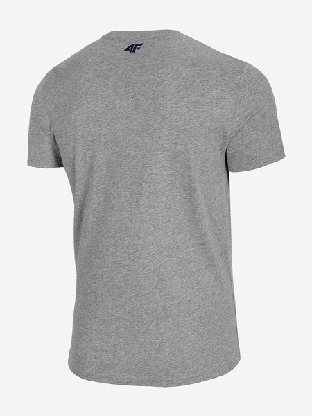 Koszulka męska 4F H4L21-TSM015-25M