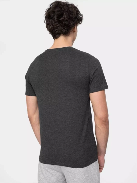 Koszulka męska 4F 4FWSS23TTSHM1229-24M