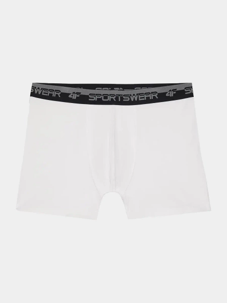 Bokserki męskie 4F 4FWSS24UBXSM036-10S