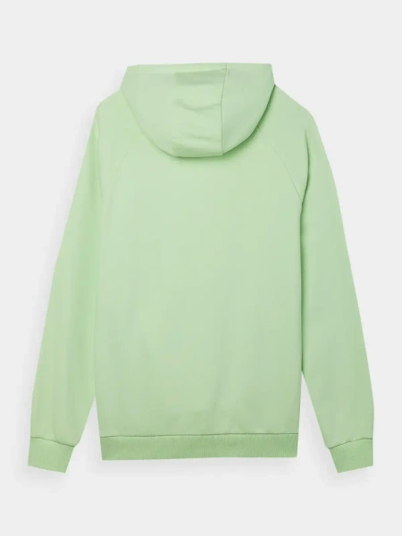 Bluza męska z kapturem 4F 4FWSS24TSWSM1010-42S