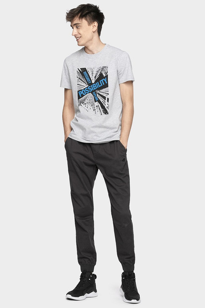 Koszulka męska 4F H4Z19-TSM005-27M