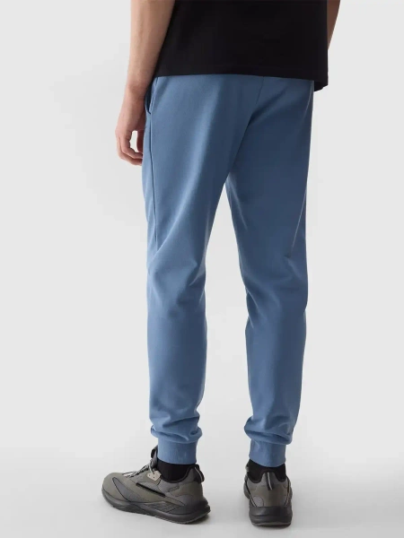 Spodnie dresowe męskie 4F 4FWSS24TTROM603-32S