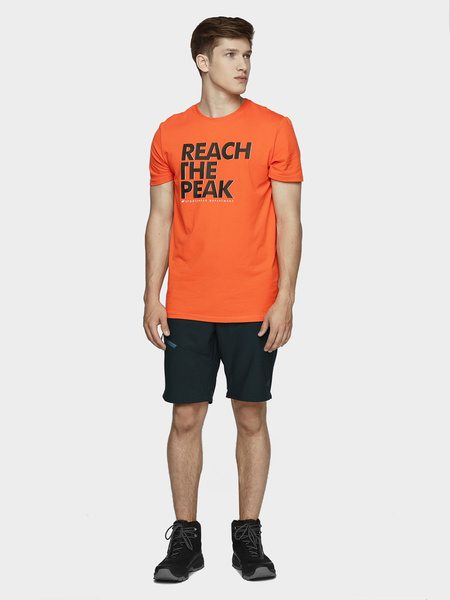 Spodnie męskie trekkingowe 4F H4L21-SPMTR061-30S