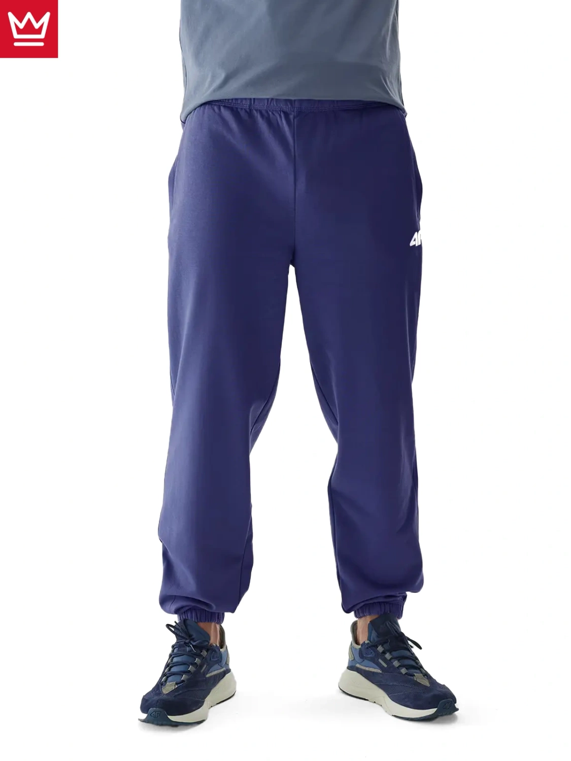 Spodnie dresowe męskie 4F 4FWAW24TTROM1277-31S