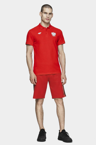 Koszulka męska 4F D4L20-TSM504-62S