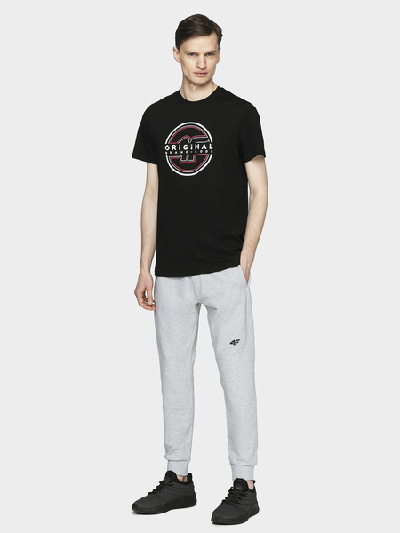 Koszulka męska 4F H4L21-TSM019-20S