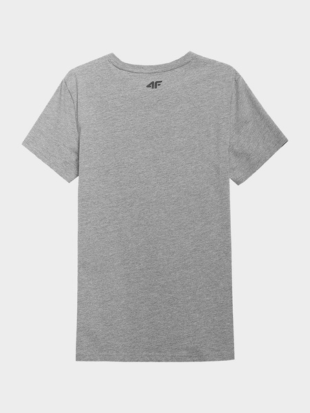 Koszulka męska 4F H4L21-TSM011-25M