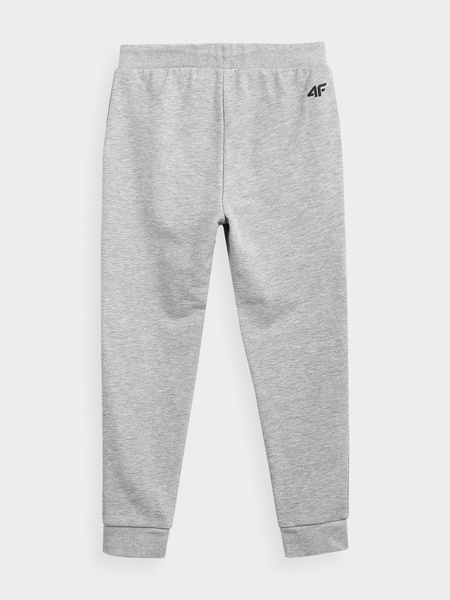 Spodnie dresowe dziecięce 4F HJL21-JSPMD001A-27M