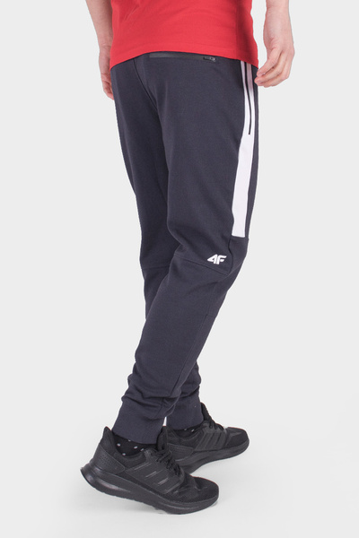 Spodnie dresowe męskie 4F H4L20-SPMD002-31S