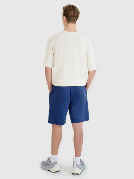 Spodenki męskie 4F 4FWMM00TSHOM543-031S