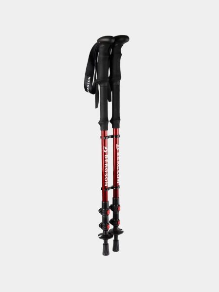 Kije trekkingowe BERGSON BTP-03