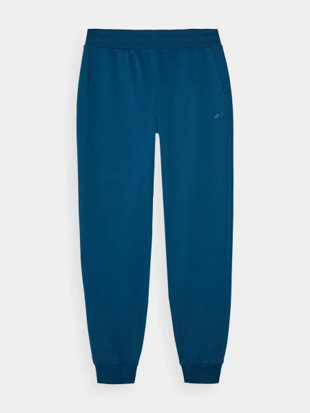 Spodnie dresowe męskie 4F 4FWMM00TTROM0943-46S