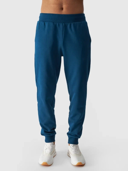 Spodnie dresowe męskie 4F 4FWMM00TTROM0943-46S