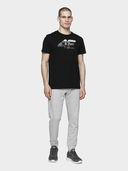 Koszulka męska 4F H4L21-TSM024-20S