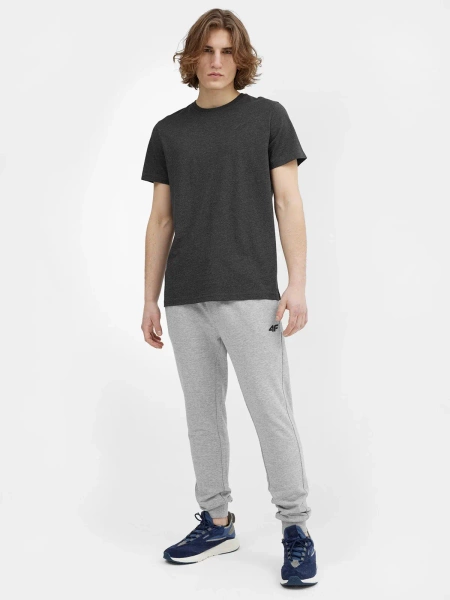 Koszulka męska 4F 4FWSS24TTSHM1899-24M