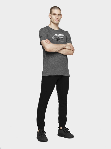 Koszulka męska 4F H4L21-TSM024-23P