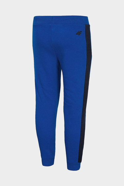 Spodnie dresowe dziecięce 4F HJZ20-JSPMD006A-36S