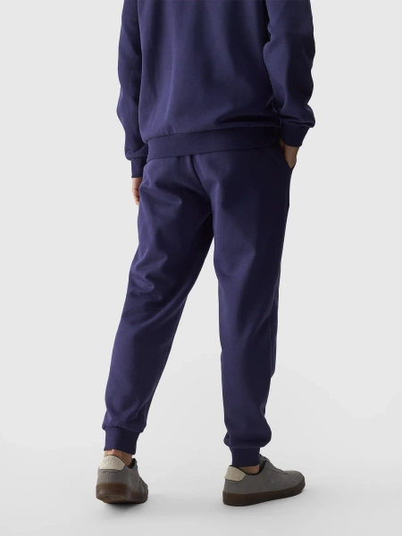 Spodnie dresowe męskie 4F 4FWMM00TTROM0943-31S