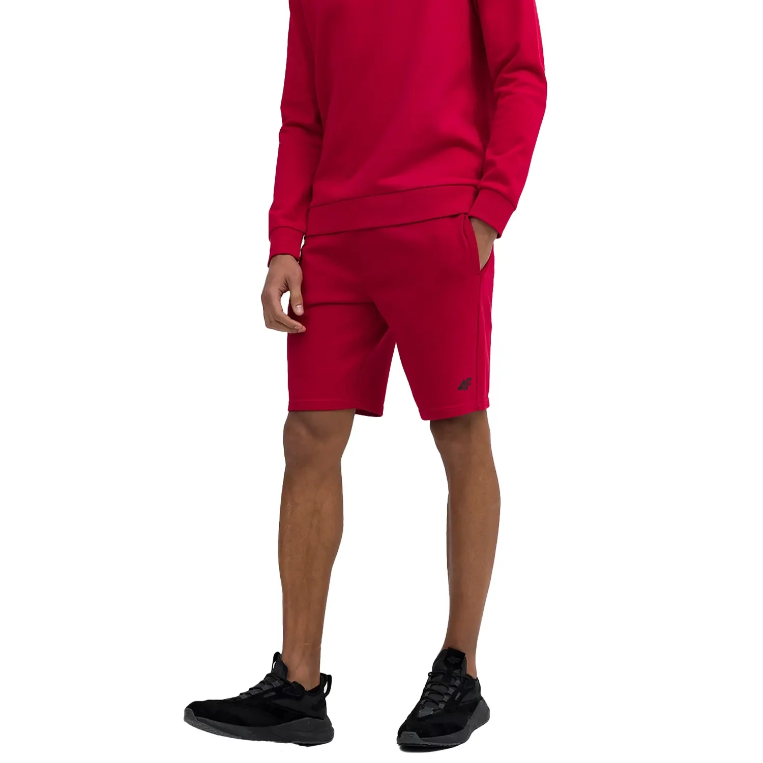 Spodenki męskie 4F 4FSS23TSHOM156-62S