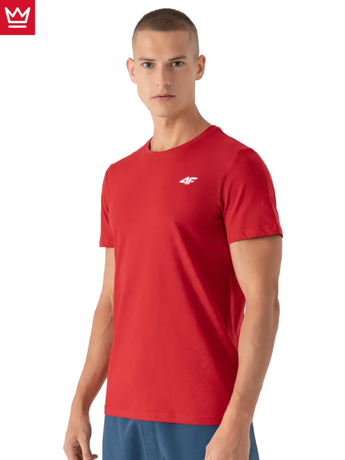 Koszulka męska 4F 4FAW22TTSHM707-62S