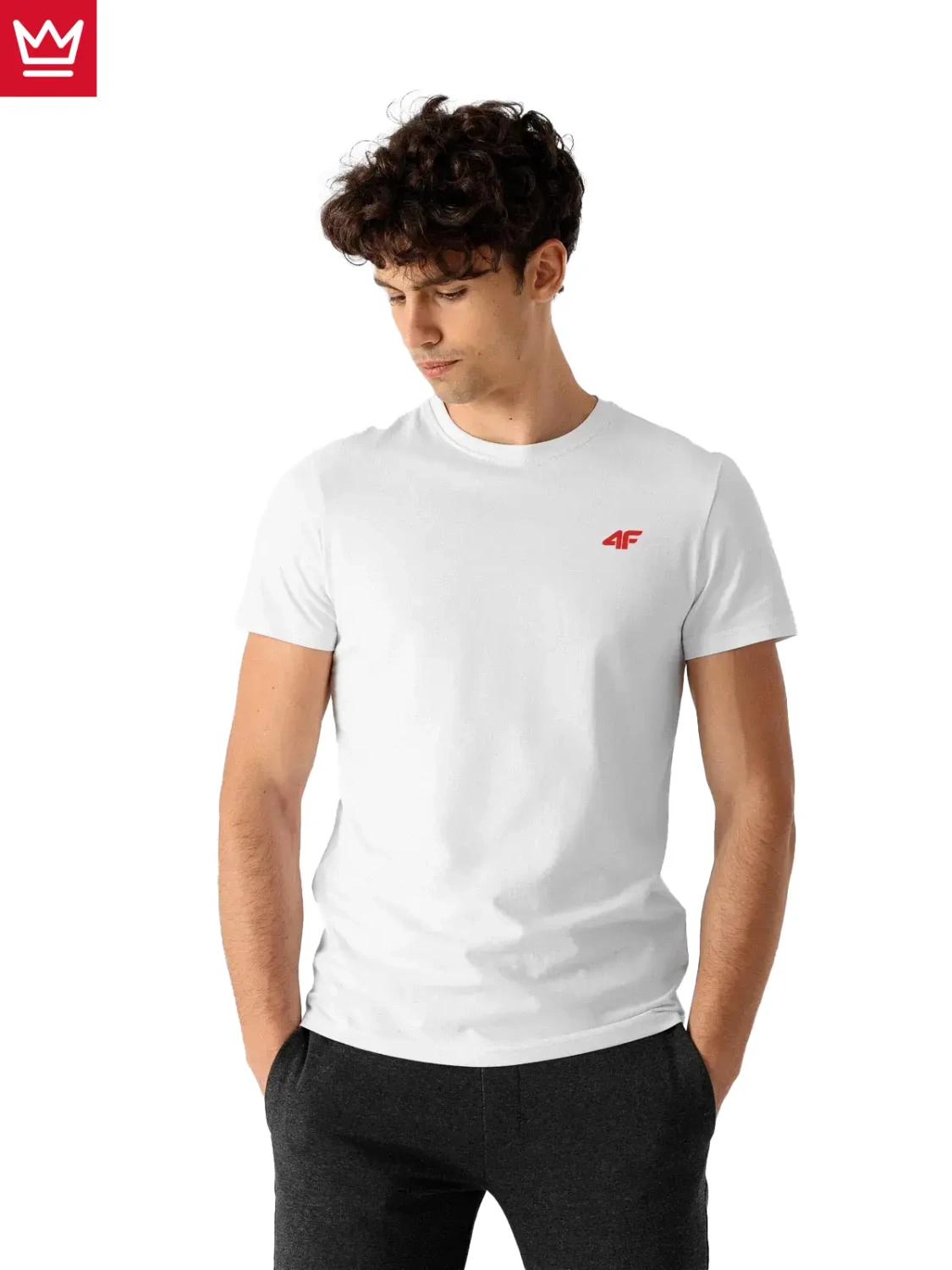 Koszulka męska 4F 4FAW22TTSHM707-10S