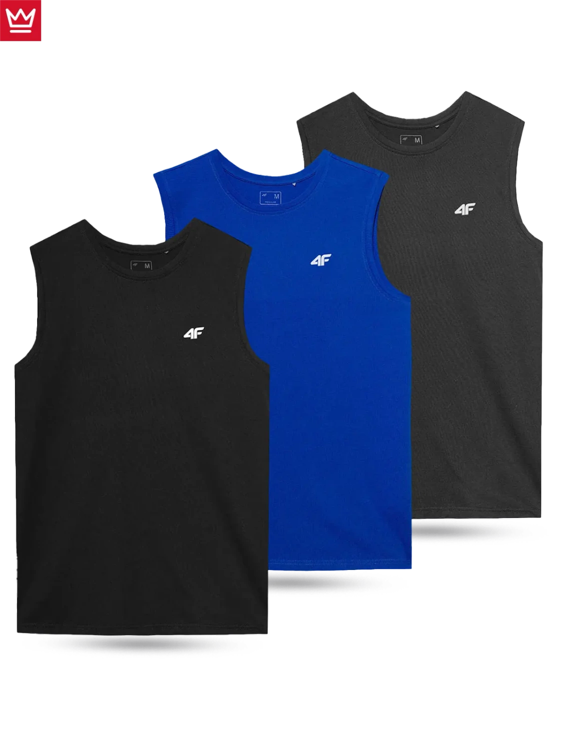 Koszulka męska 4F 4FWSS24TSLEM115-90S 3PAK