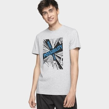 Koszulka męska 4F H4Z19-TSM005-27M