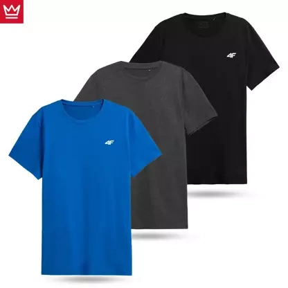 Koszulka męska 4F 4FWSS23TTSHM1231-90S 3PAK