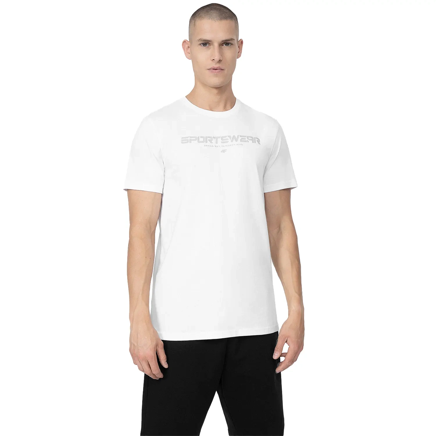 Koszulka męska 4F 4FSS23TTSHM364-10S