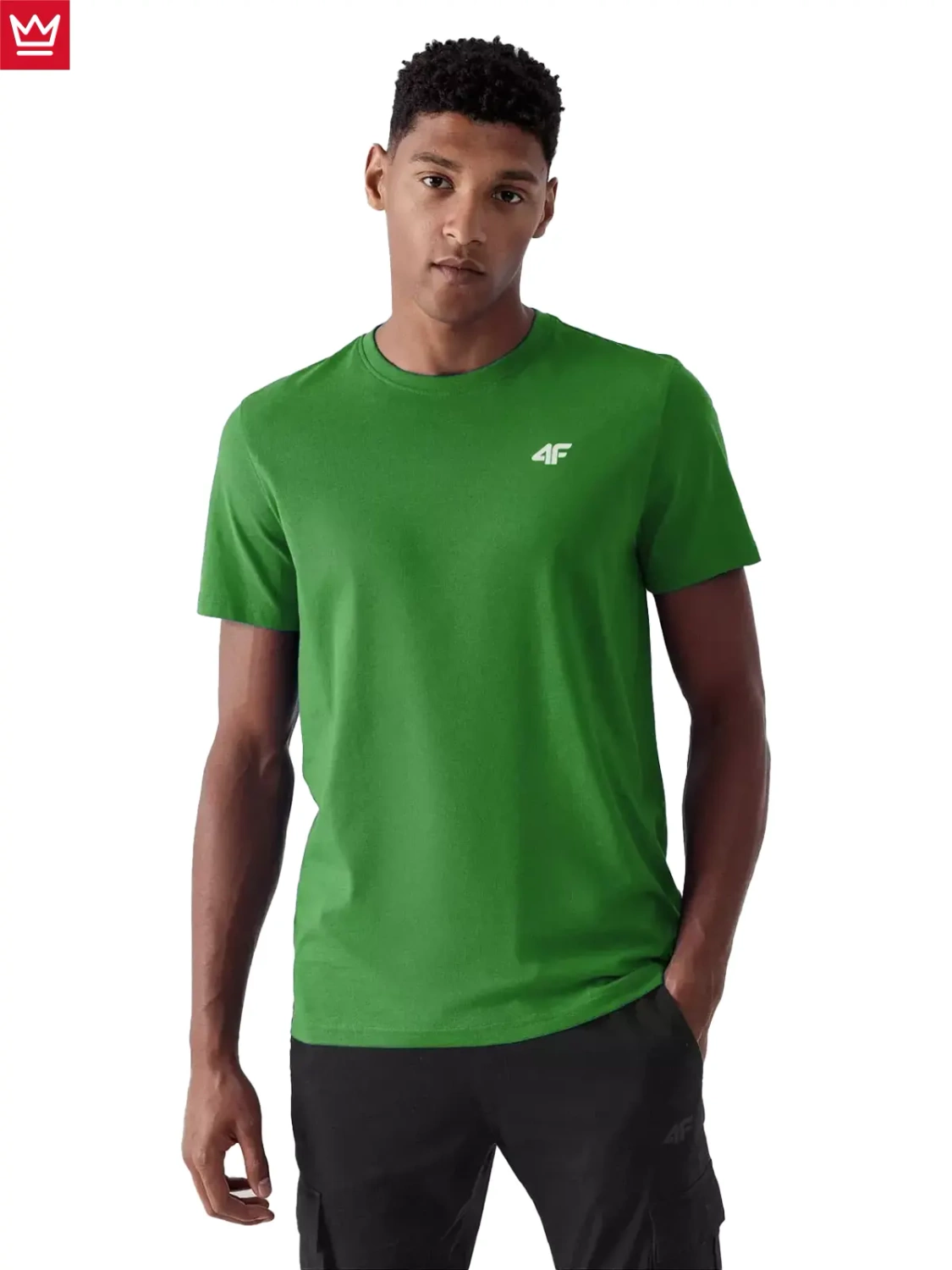 Koszulka męska 4F 4FWSS23TTSHM1229-41S