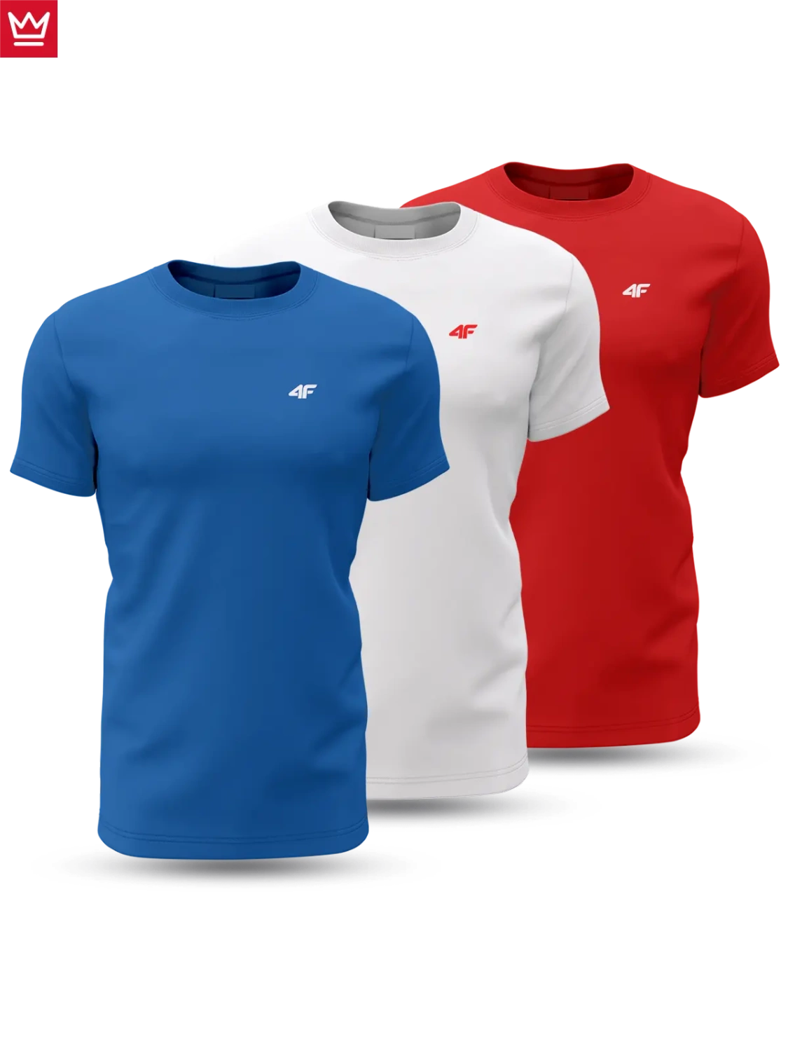 Koszulka męska 4F 4FWSS24TTSHM1898-90S 3PAK