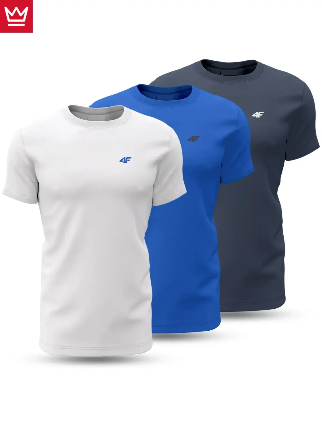 Koszulka męska 4F 4FWSS24TTSHM1895-91S 3PAK