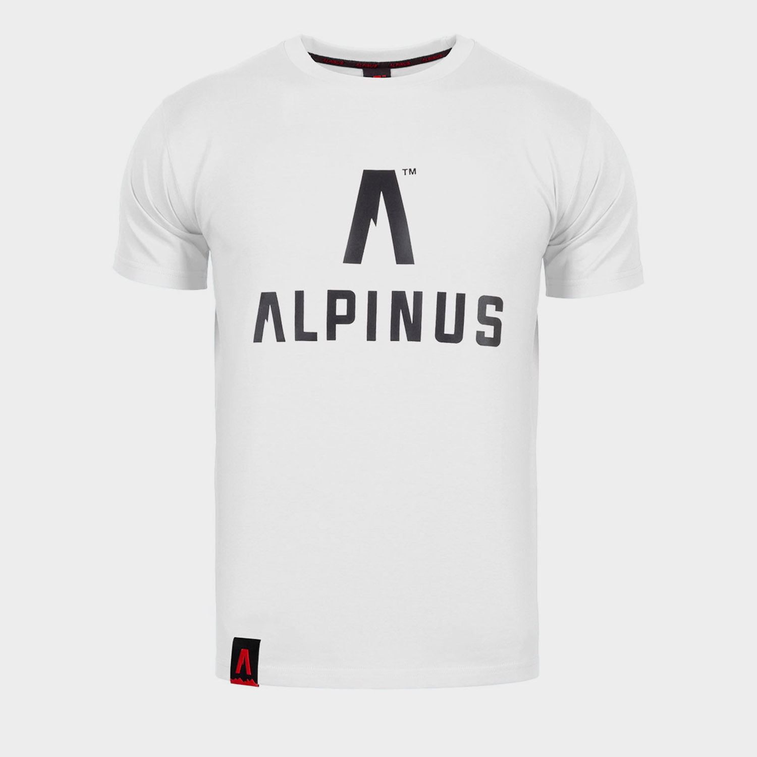 Koszulka męska ALPINUS ALP20TC0008