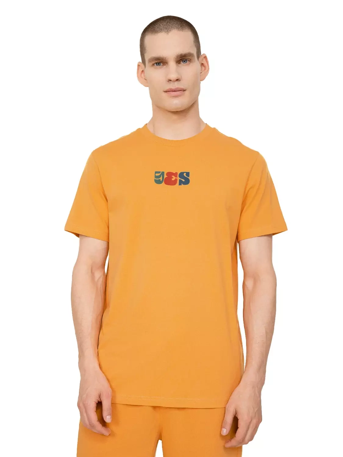 Koszulka męska OUTHORN OTHSS23TTSHM458-74S