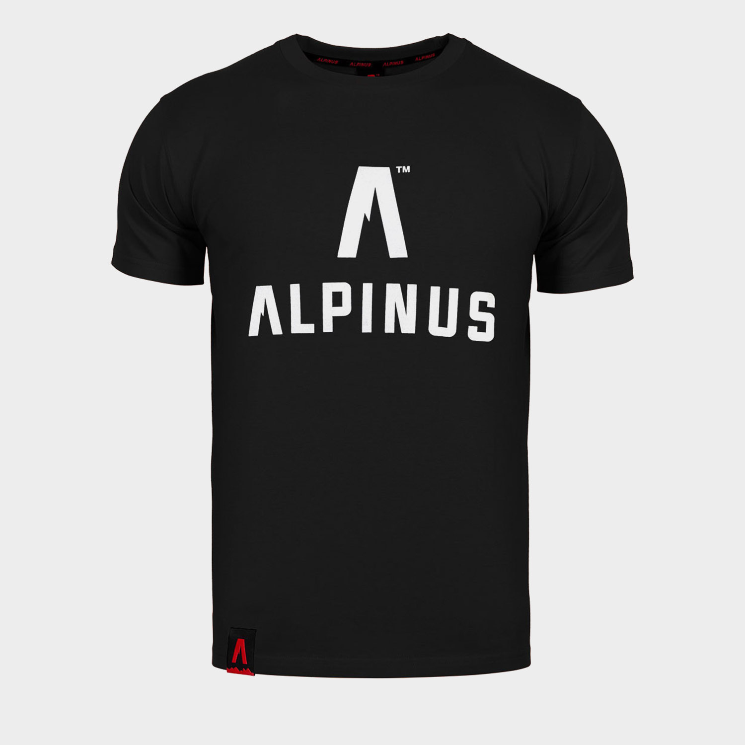 Koszulka męska ALPINUS ALP20TC0008