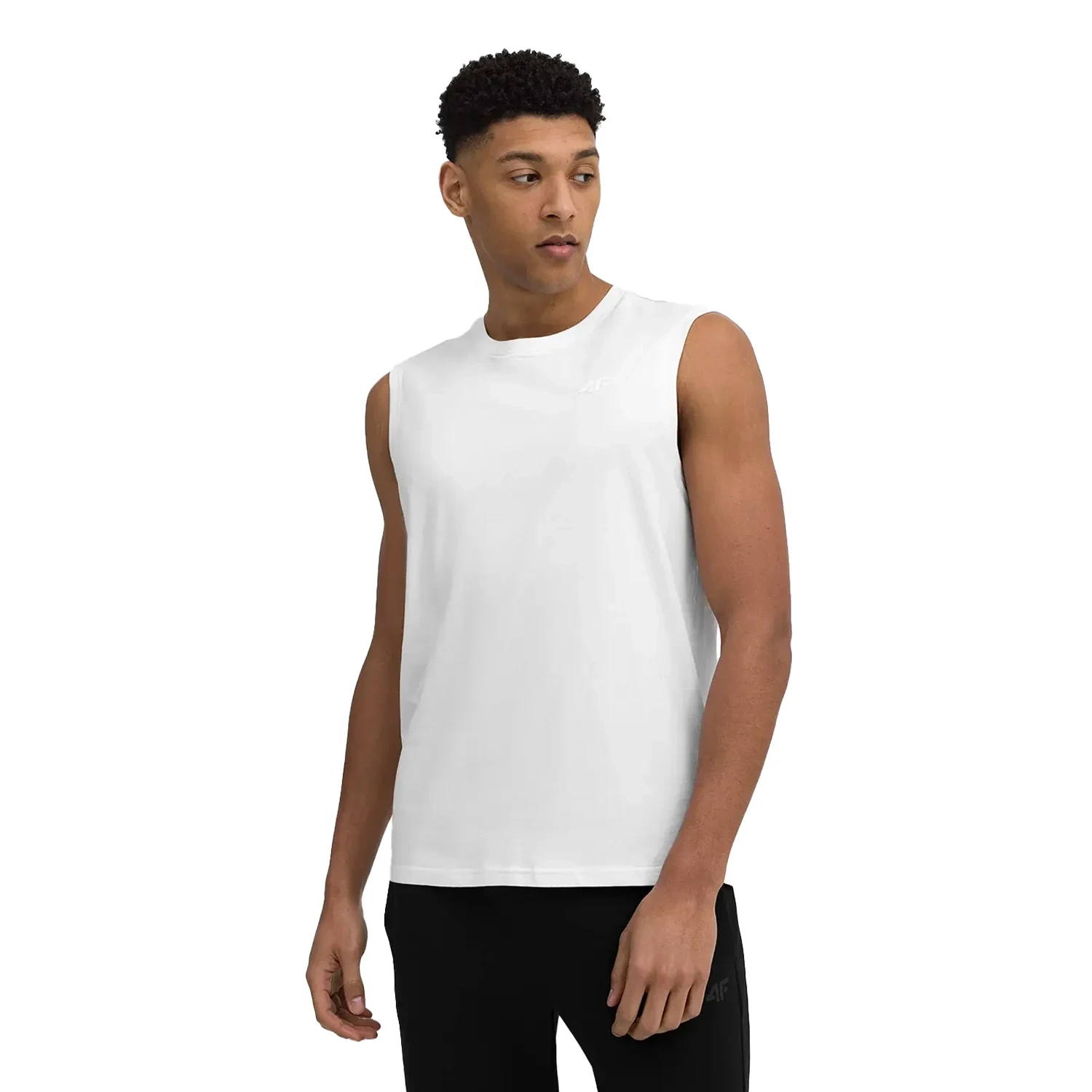 Koszulka męska 4F 4FSS23TSLEM016-10S