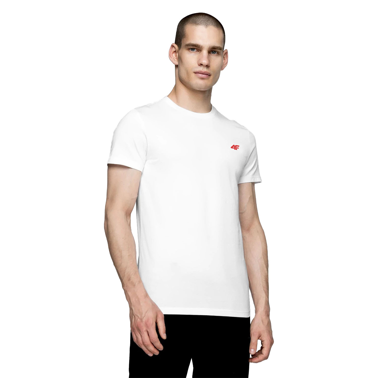 Koszulka męska 4F 4FSS22TTSHM200-10S