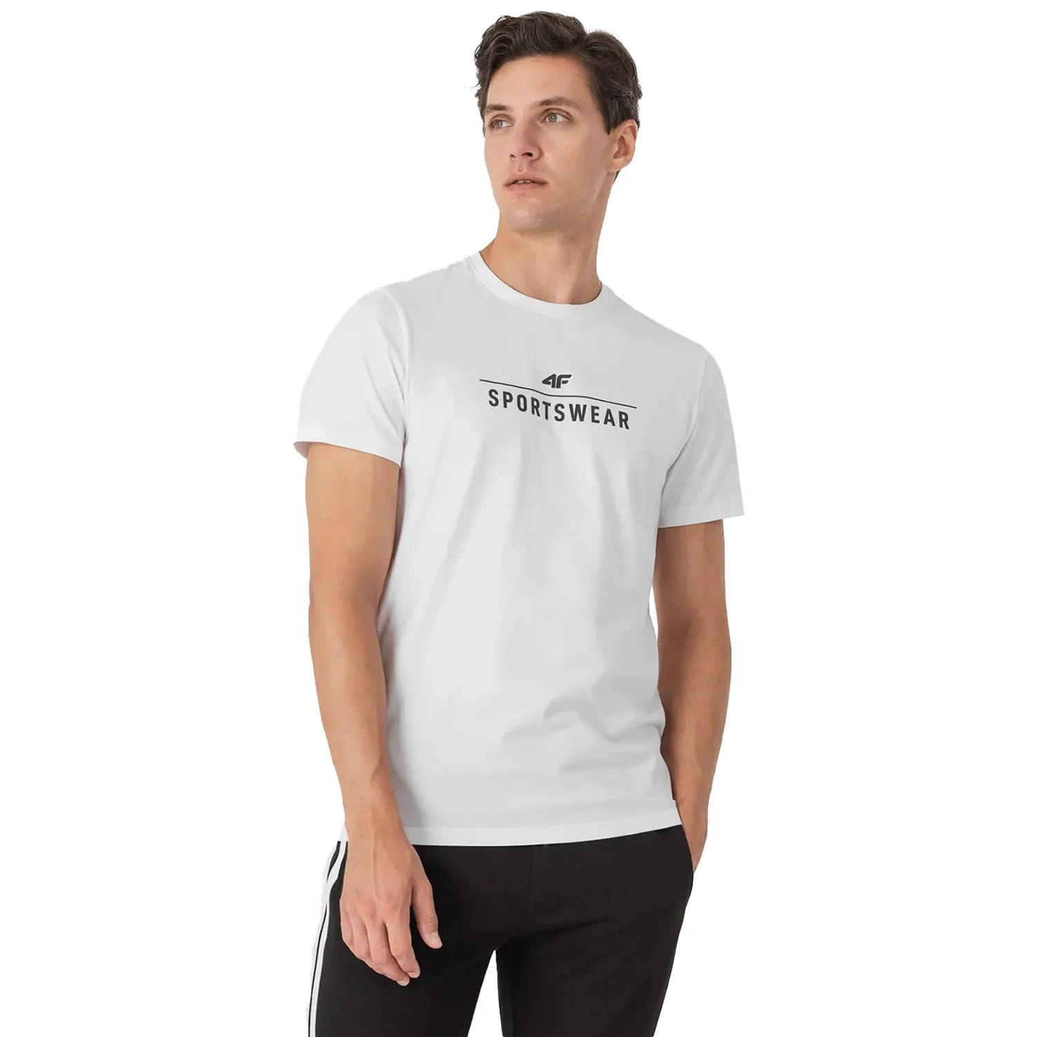 Koszulka męska 4F 4FSS23TTSHM539-10S