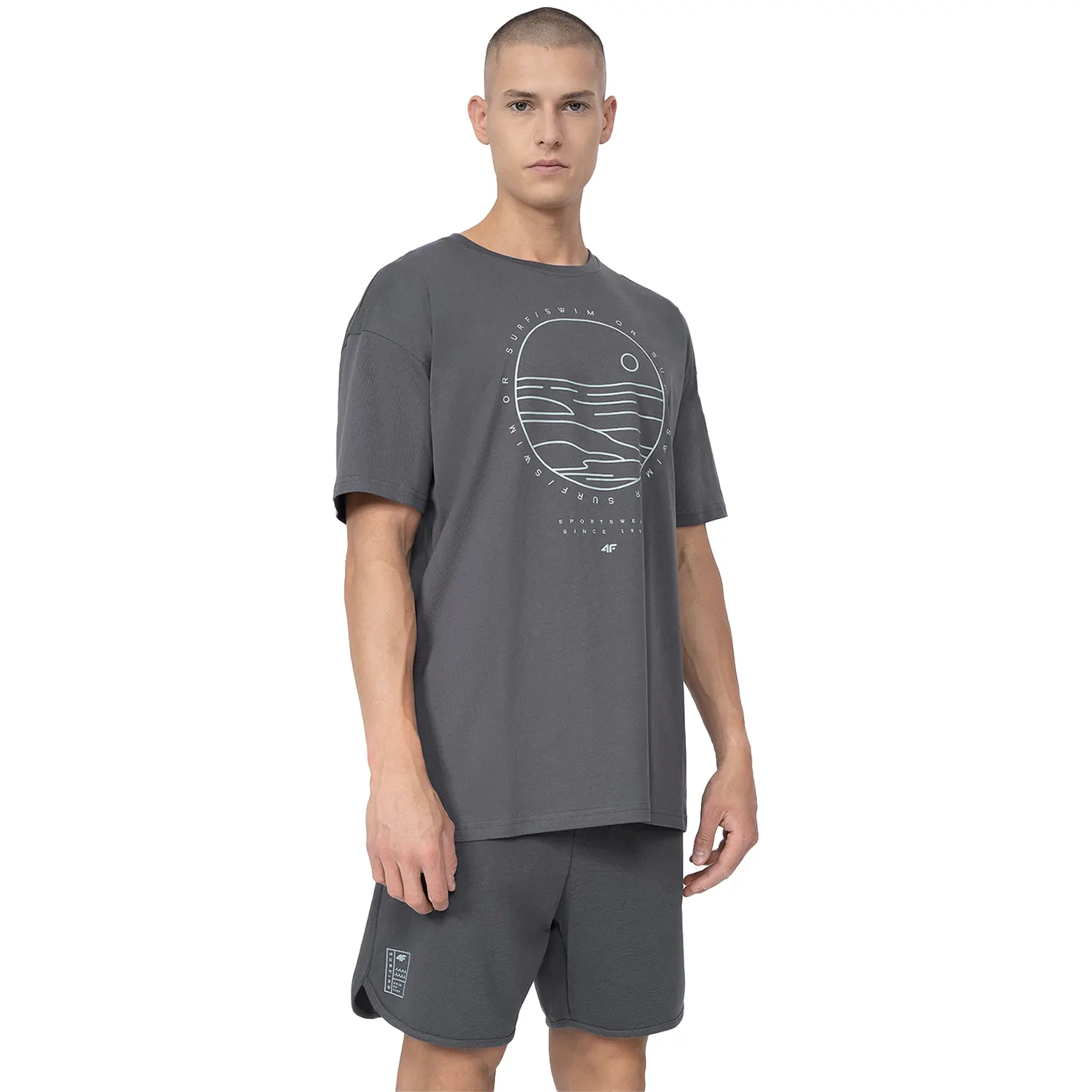 Koszulka męska 4F 4FSS23TTSHM365-22S