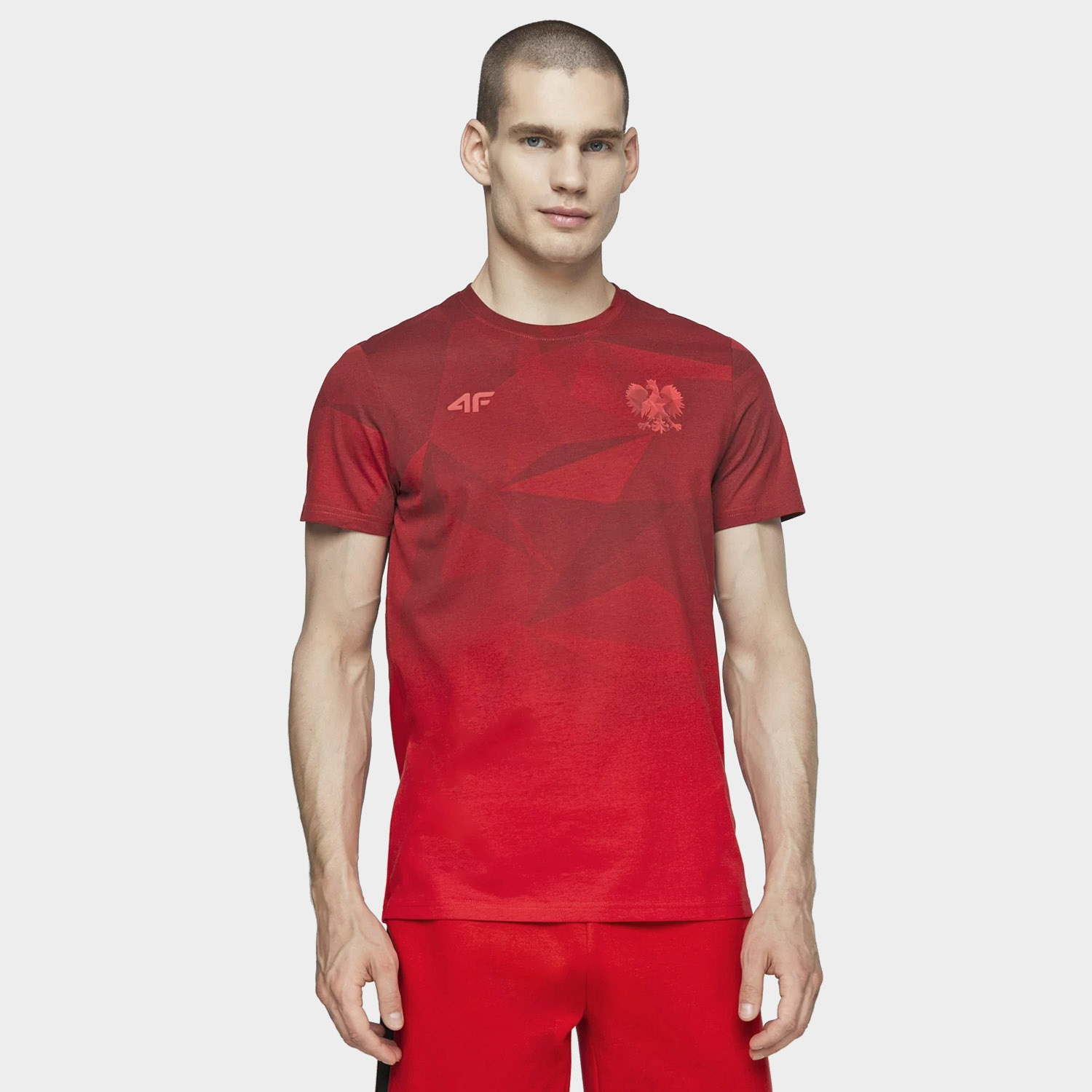 Koszulka męska 4F D4L20-TSM502-62S