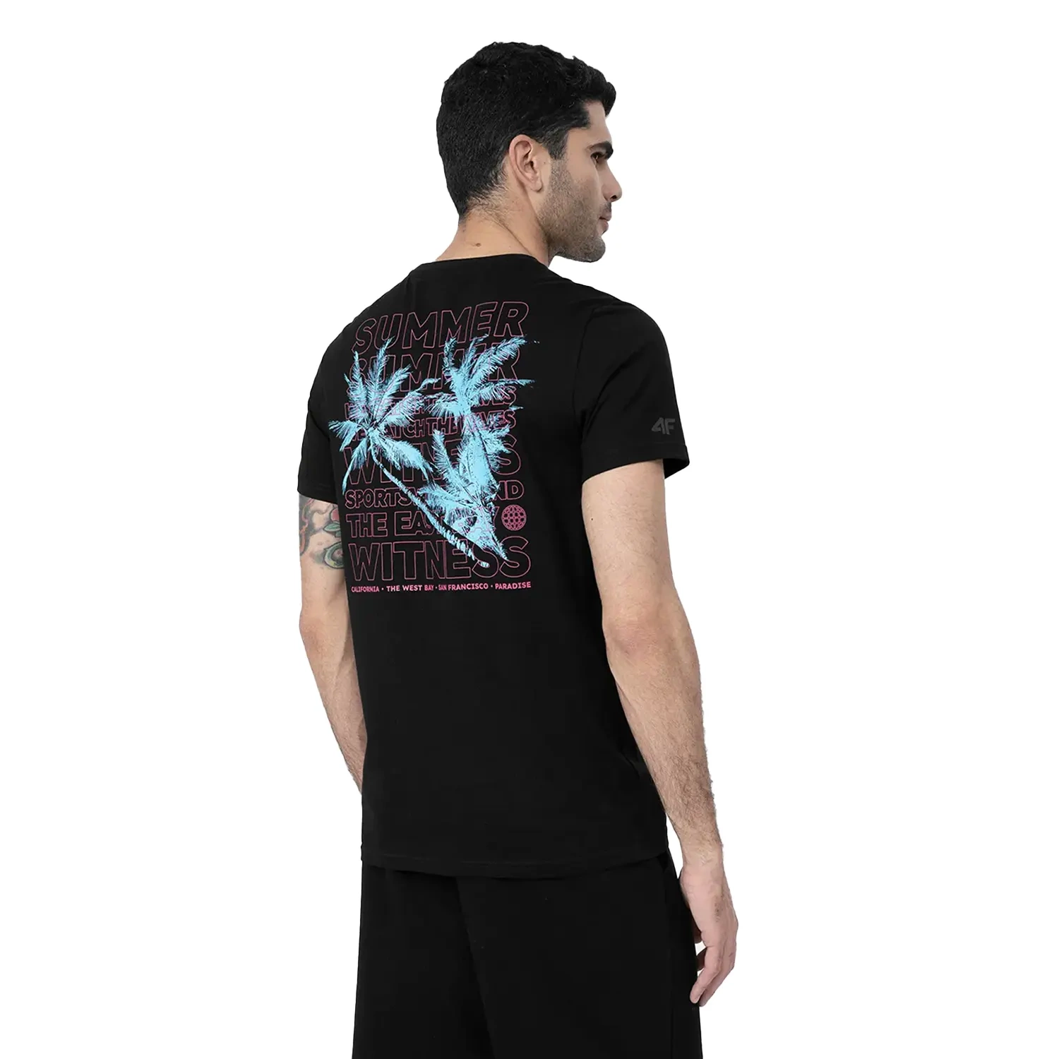 Koszulka męska 4F 4FSS23TTSHM359-20S