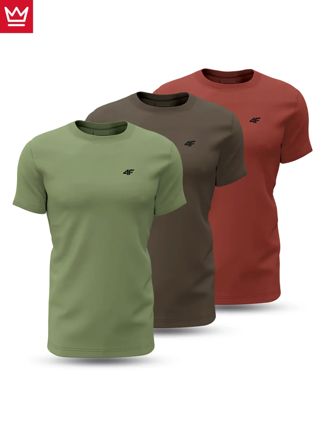 Koszulka męska 4F 4FWSS24TTSHM1896-91S 3PAK