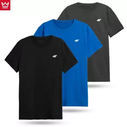 Koszulka męska 4F 4FWSS23TTSHM1294-90S 3PAK