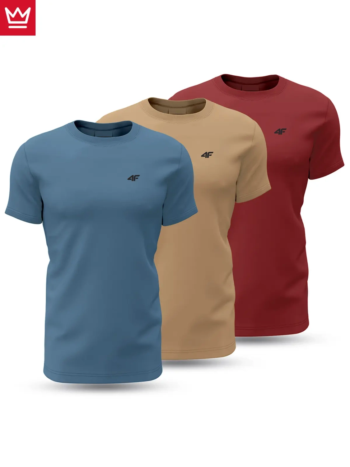 Koszulka męska 4F 4FWSS24TTSHM1897-91S 3PAK