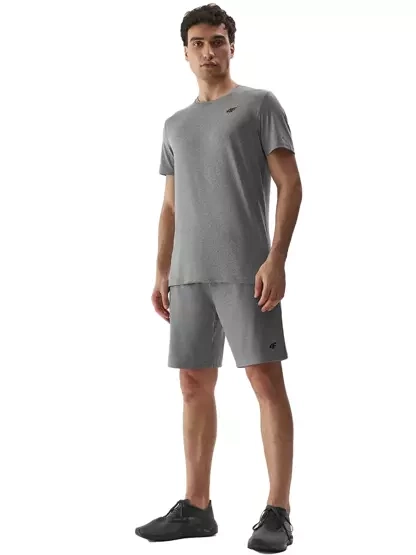 Koszulka męska 4F 4FAW23TFTSM449-27M 