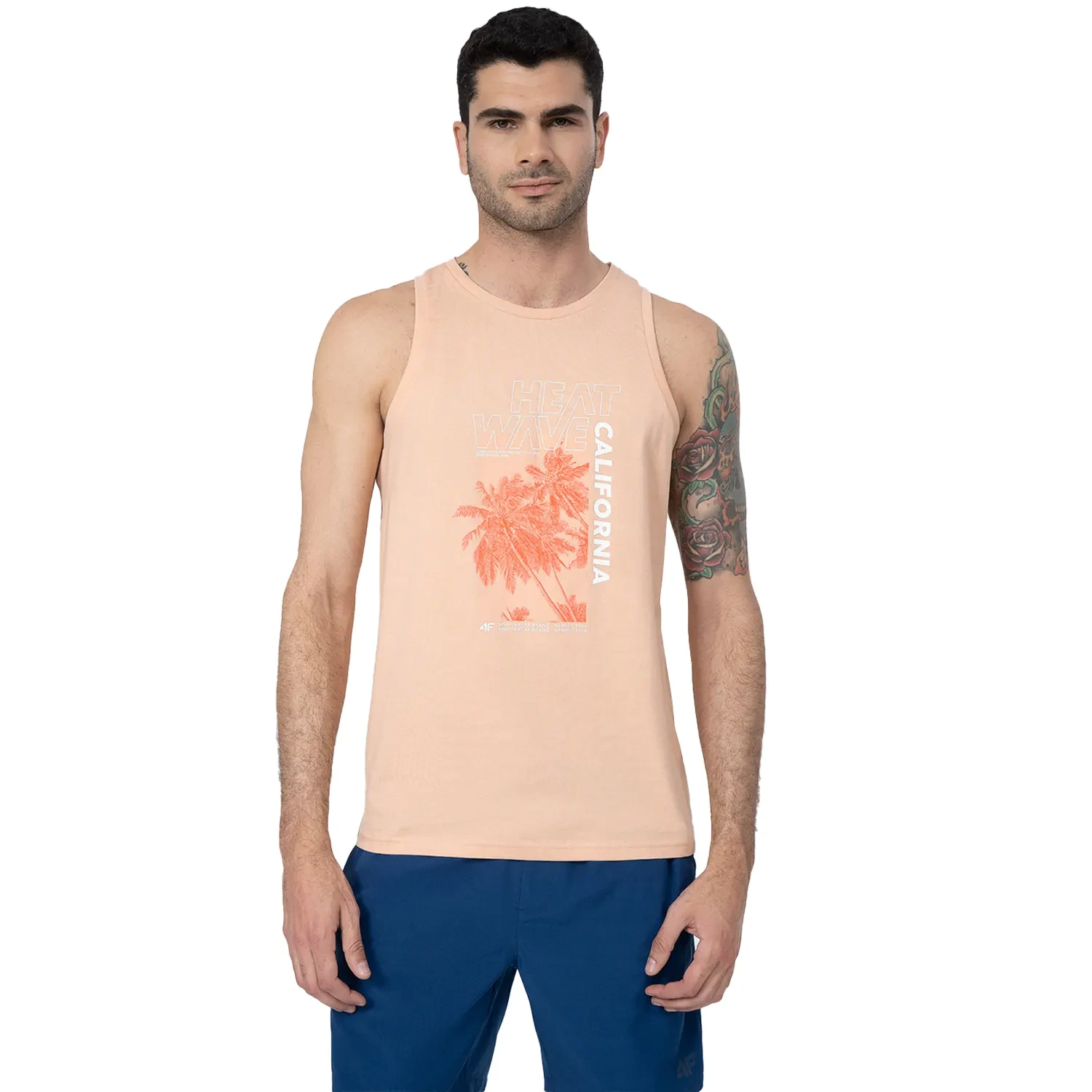 Koszulka męska 4F 4FSS23TTSHM354-64S