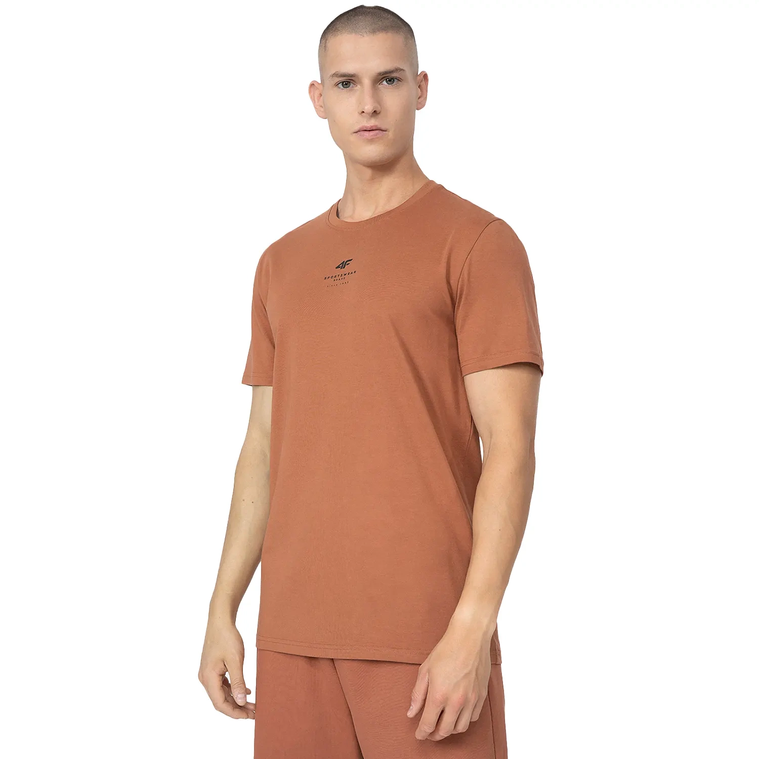 Koszulka męska 4F 4FSS23TTSHM363-81S