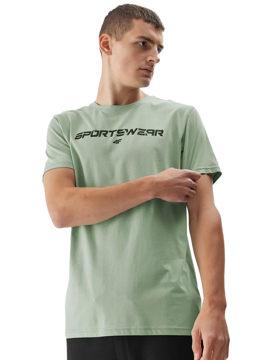 Koszulka męska  4F 4FAW23TTSHM0950-47S 