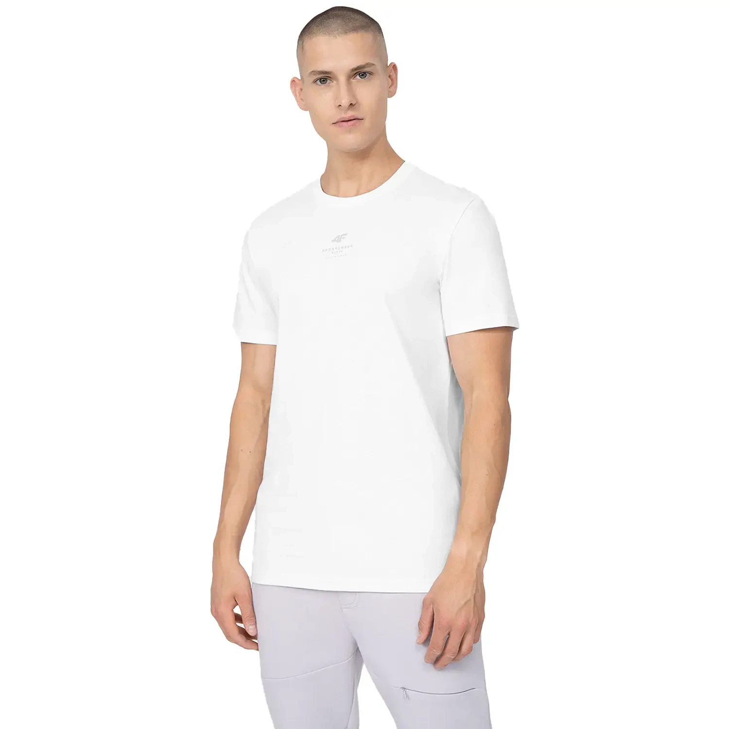 Koszulka męska 4F 4FSS23TTSHM363-10S